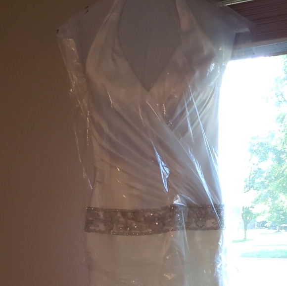 David's Bridal wedding gown - Picture 5 of 7